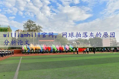 网球拍落灰的原因分析论文