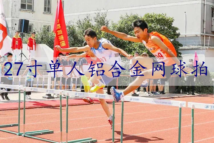 27寸单人铝合金网球拍