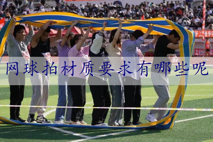 网球拍材质要求有哪些呢