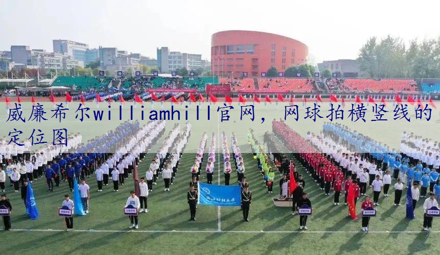 网球拍横竖线的定位图