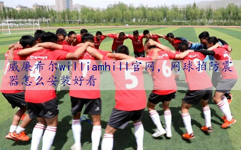 网球拍防震器怎么安装好看