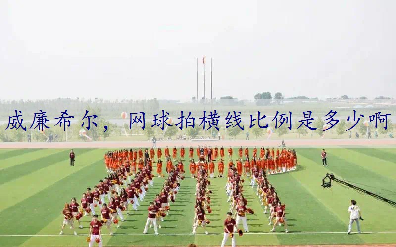 网球拍横线比例是多少啊
