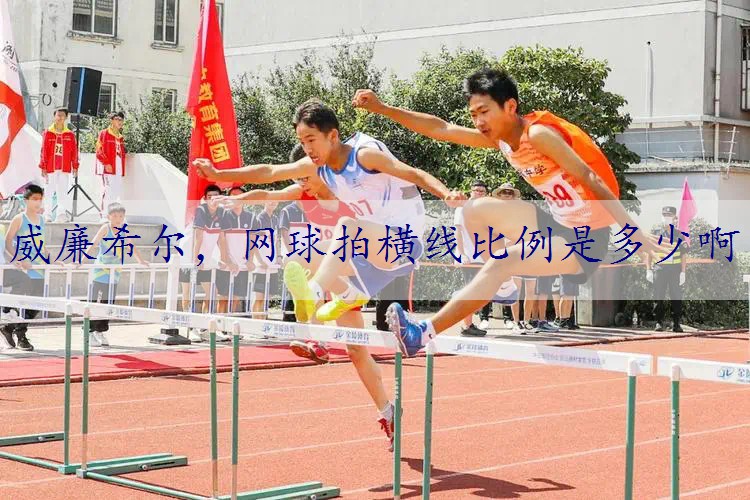 网球拍横线比例是多少啊