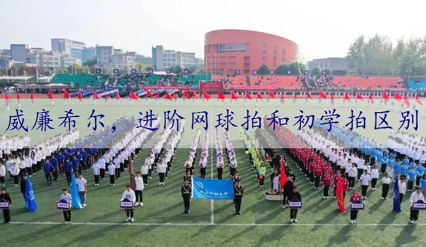 <strong>威廉希尔，进阶网球拍和初学拍区别</strong>