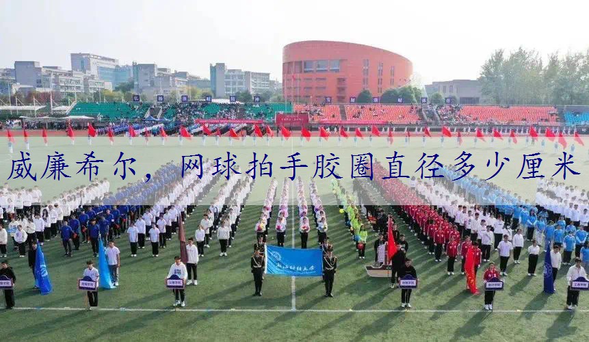 网球拍手胶圈直径多少厘米