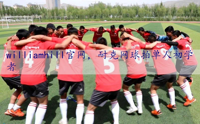 耐克网球拍单人初学者