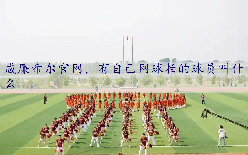 有自己网球拍的球员叫什么