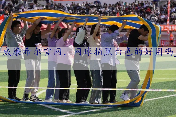 网球拍黑白色的好用吗_