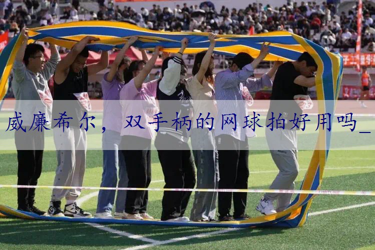双手柄的网球拍好用吗_