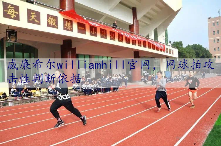 网球拍攻击性判断依据