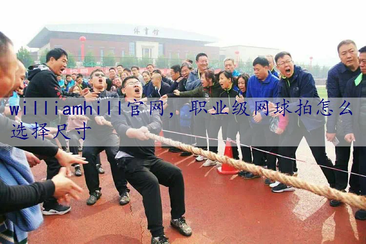 职业级网球拍怎么选择尺寸