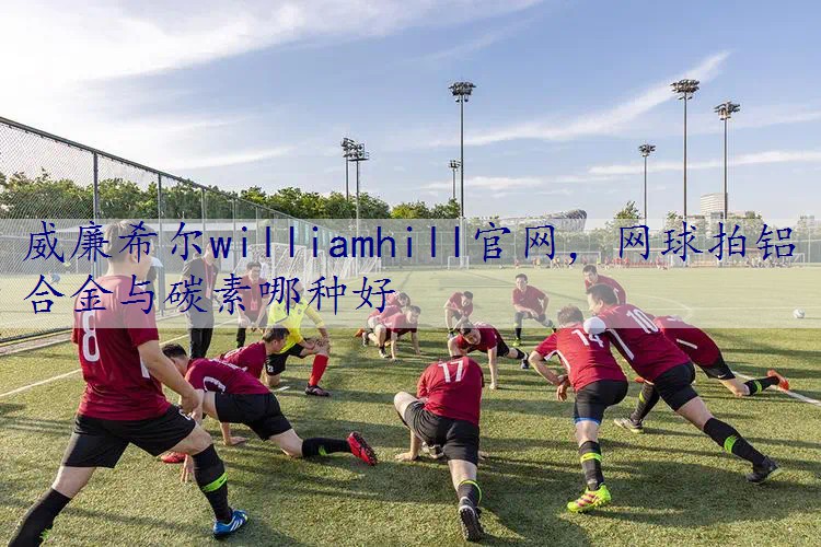 网球拍铝合金与碳素哪种好