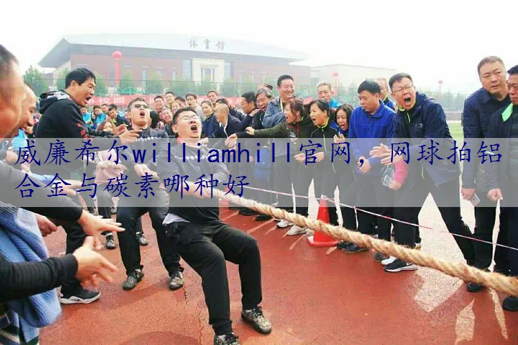 网球拍铝合金与碳素哪种好