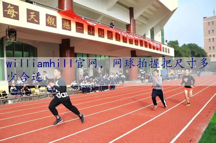 网球拍握把尺寸多少合适