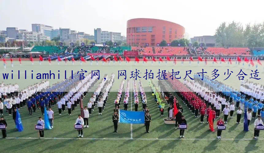 网球拍握把尺寸多少合适