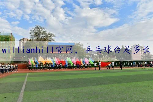 乒乓球台是多长